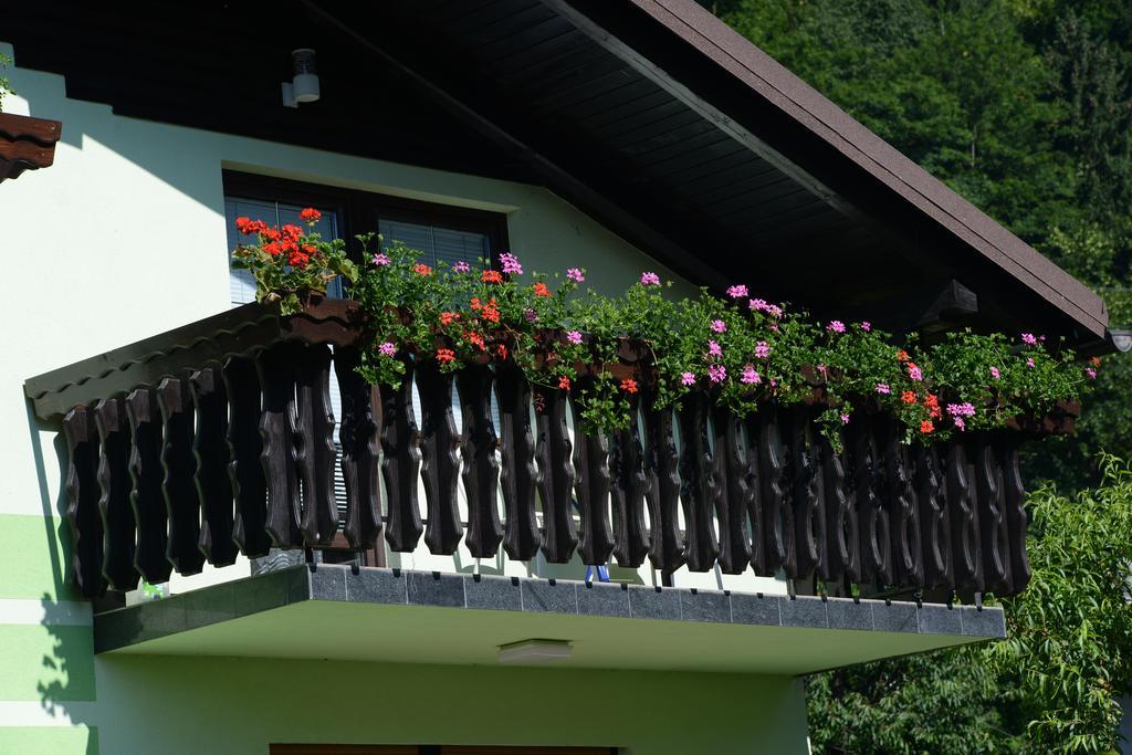 Zeleni Apartma Zrece Bagian luar foto