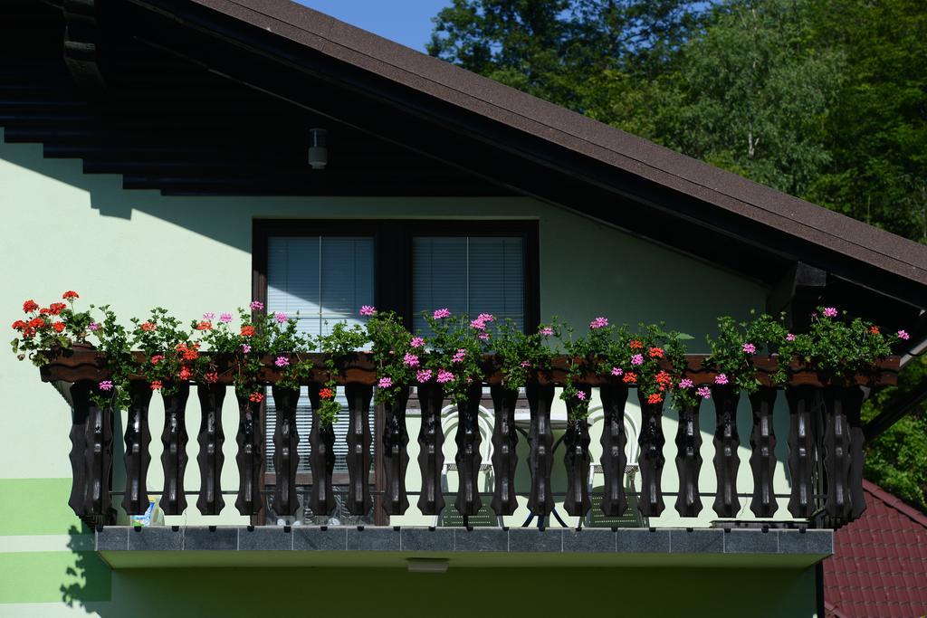 Zeleni Apartma Zrece Bagian luar foto